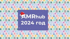 AMRhub — итоги 2024