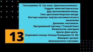 13 генный ключ. Путь распознавания.