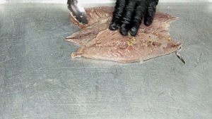 РУЛЕТ ИЗ СКУМБРИИ горячего копчения ЧЕСНОЧНО ТМИННЫЙ