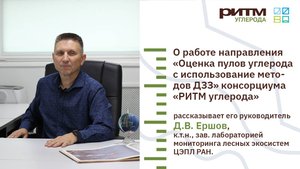 Дмитрий Ершов о методах ДЗЗ в работе консорциума «РИТМ углерода»