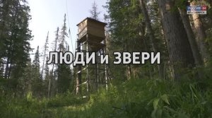 Люди и звери
