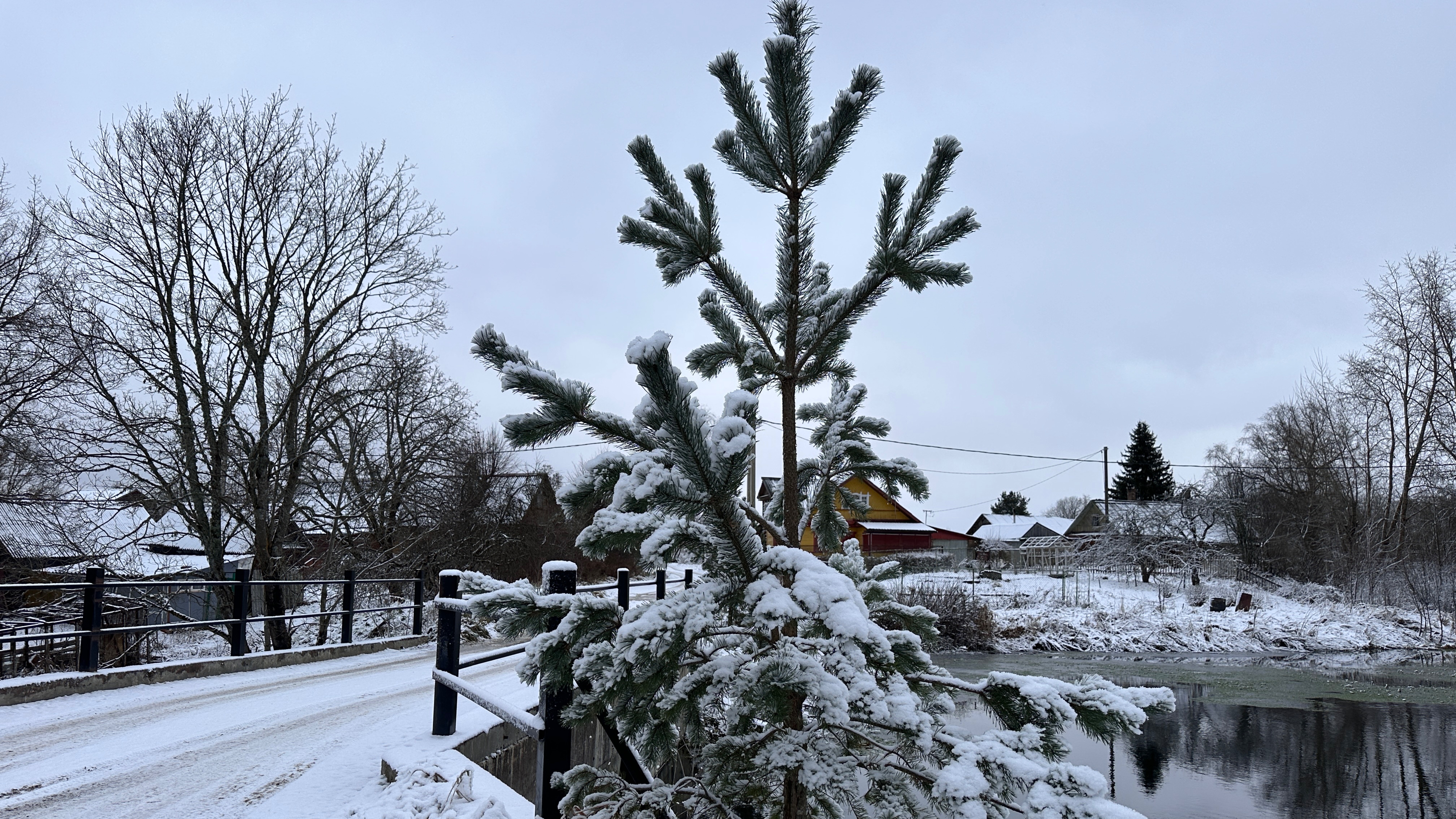 Лен.обл., д.Климотино ИЖС 15 соток смотреть онлайн