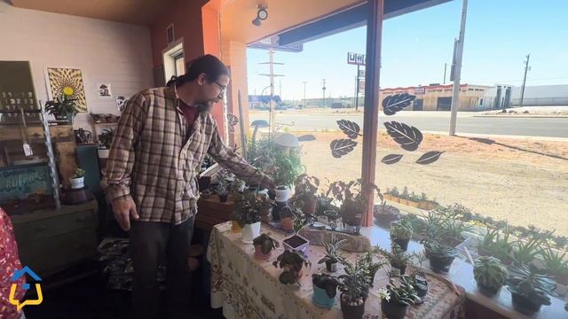 Bring your home to life with Flora's Factory Indoor Garden Supply смотреть онлайн