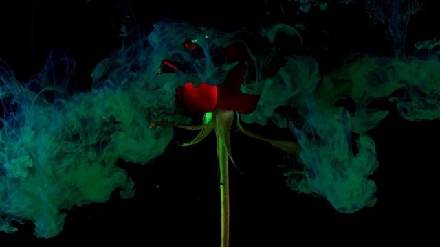 Manifest Your Twin Flame: 10-Min Guided Meditation for Valentine's Day 2023