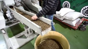 Производство аромагранул из отходов кориандра