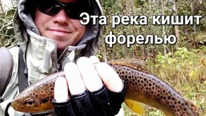 Осенняя форель