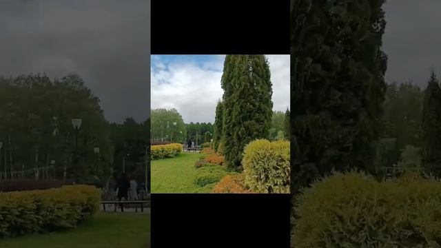 Белоусовский парк #путешествия #отпуск #прогулка смотреть онлайн