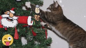 Новогодние частушки веселые