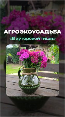 В хуторской тиши | Агроэкоусадьба  #природа #пчеловодство #мед #история #туризм #усадьба #отдых