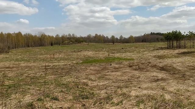 Очень удачный выезд! Редкая находка, много монет и прочее... смотреть онлайн