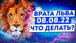 8.08.22. Врата Льва. Что делать?