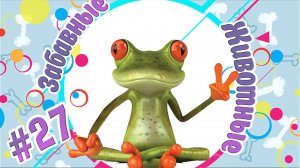 Забавные и Смешные Животные №27 + Приколы с Животными + Лучшие Подборки про Животных