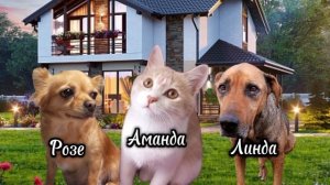 иду по трендам