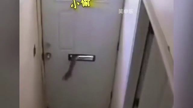 Funny stories(A little shocking) смотреть онлайн