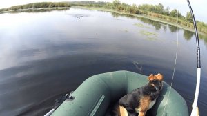 РАЗВЕДКА ПО ЩУЧЬИМ МЕСТАМ. В ПОИСКАХ ОСЕННИХ ЩУК 2022.