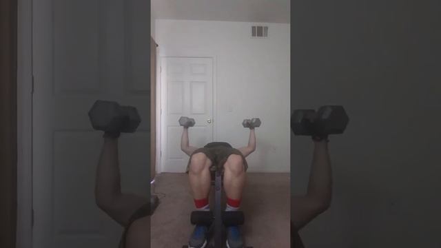 Body Beast (Round 3) - Build: Chest/Tris (1/29/17) смотреть онлайн