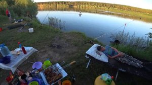 Рыбалка на судака летом . Ловля судака на донные снасти ,на живца .