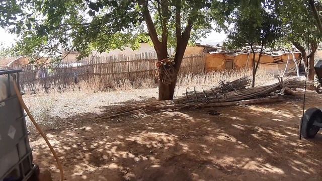 Отвезли крольчат на хутор. смотреть онлайн