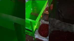 веялка для очистки  ягод.  т 89141498524