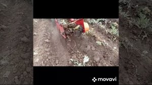 Копалка корня хрена