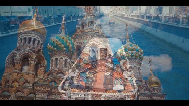 Коты Петербурга крыша Исакия. #санктпетербург