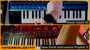 Dave Smith Instruments Prophet 12 | Modal Cobalt 5S