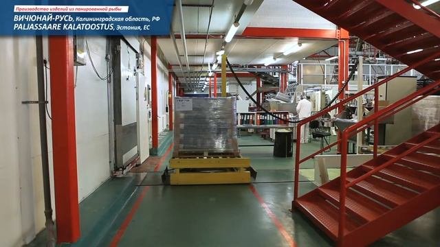 Viciunai Group презентация, RU