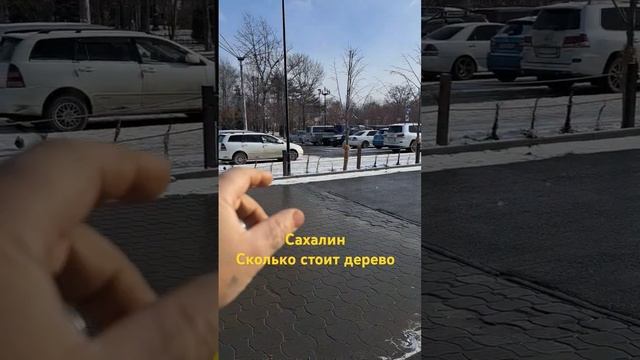 6 декабря 2024 г.