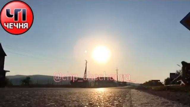 Чечня ❗️#отподписчика  суровые Чечен-Аульские собаки 😂