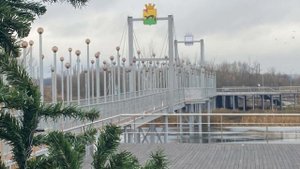 Богучар 24.12.24.