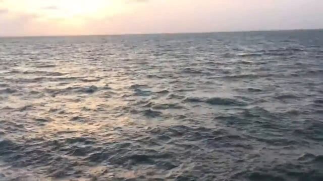 Дремучка придурошный Яра