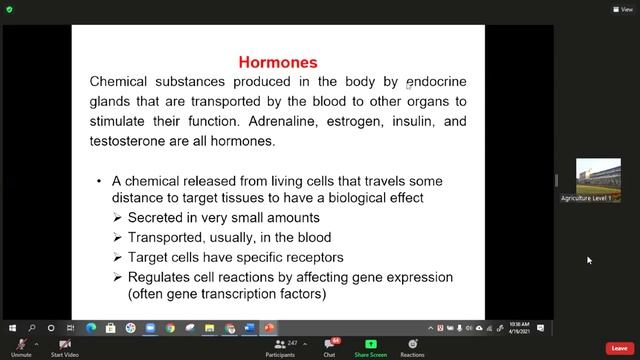 Protein -05 смотреть онлайн