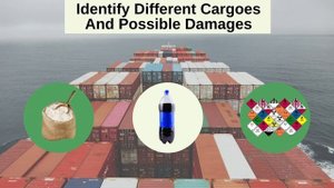 Marine Cargo Surveying Masterclass