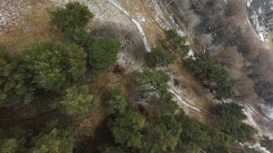 авата 2, dji unit o4