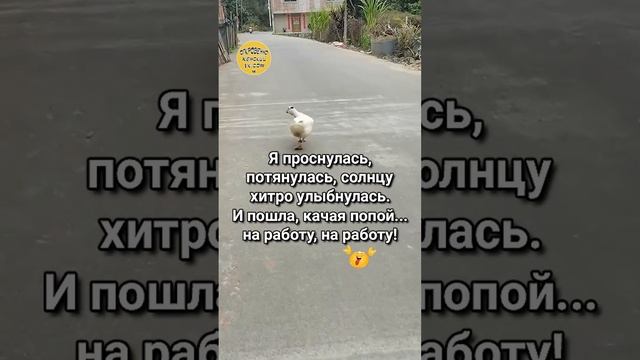 Просыпаемся и идём радoвать мир.