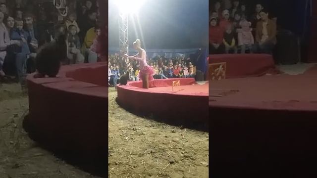 Смешанная группа. смотреть онлайн