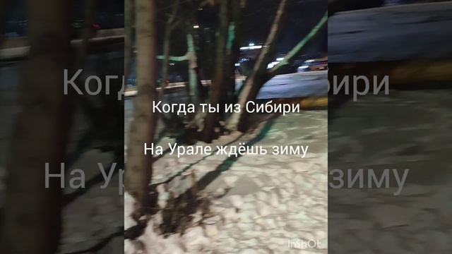 Сибиряки поймут