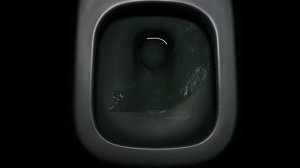 Инновационная система смыва aliFLUSH+