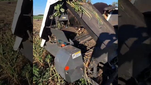 Уборка чеснока японским комбайном смотреть онлайн