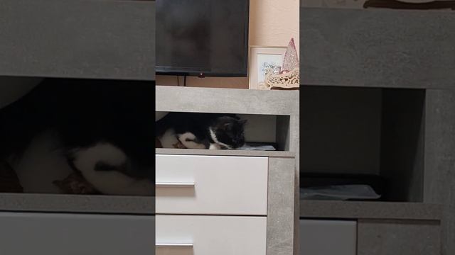 Все что плохо лежит...