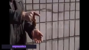 Песня подайте христа ради червонец золотой