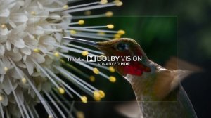 2016 LG SUPER UHD TV - DOLBY VISION HDR