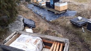 ГОПКА ИЛИ СТРАННОЕ