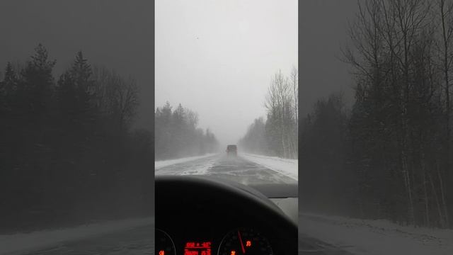 Белый снег, серый лёд, дорога в Псков смотреть онлайн