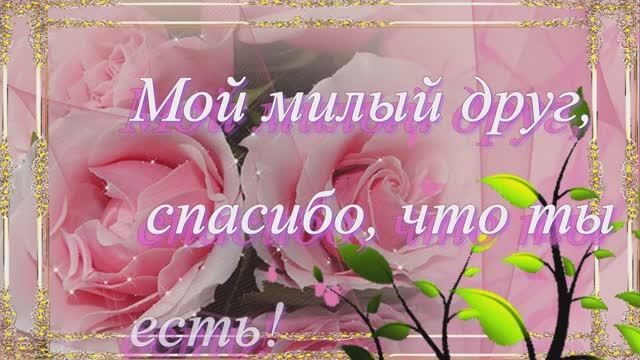 За всё мой Друг Благодарю!