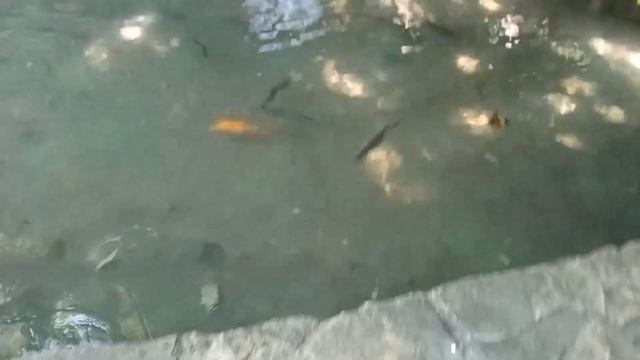 Влог | Поехали на море / 2023 Сочи (5 часть) Водопады! {6 день}
