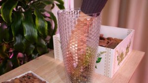 Ух ты 😉 Пересадка орхидеи 😊 Загляденье. Нарадоваться не могу.