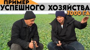 Озимые рапс, пшеница, ячмень. Тонкости, которые приводят это хозяйство к успеху.