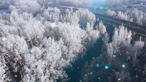 Тёща долго была без мужа, пришлось помочь…