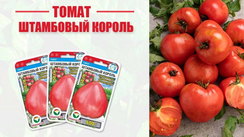 Томат "Штамбовый король"